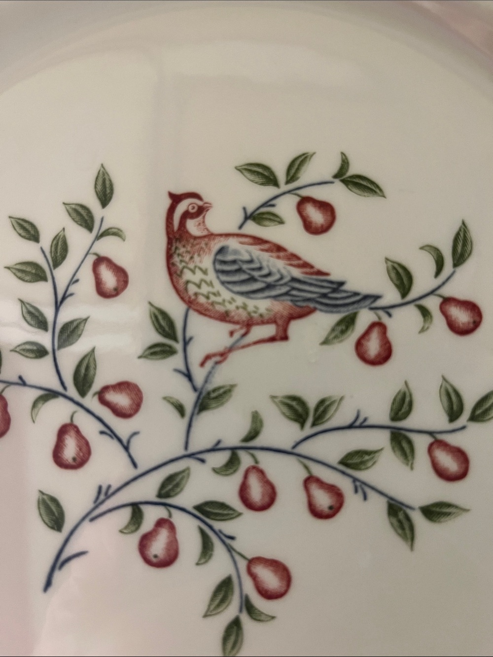 Johnson Brothers Dinner Plate 10.25” 12 Days of Christmas Partridge Pear Tree - Picture 4 of 6